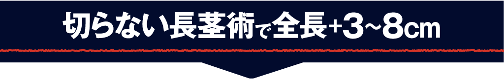 切らない長茎術とは