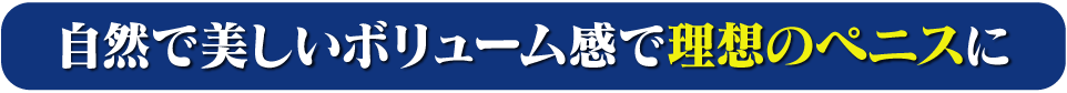 自然で美しいボリューム感で理想のペニスに