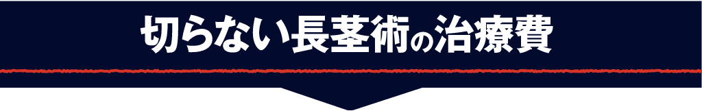 長茎術の治療費