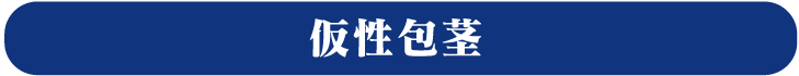 仮性包茎